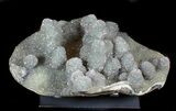 Prasiolite (Green Quartz) Stalactite Cluster - Uruguay #77868-5